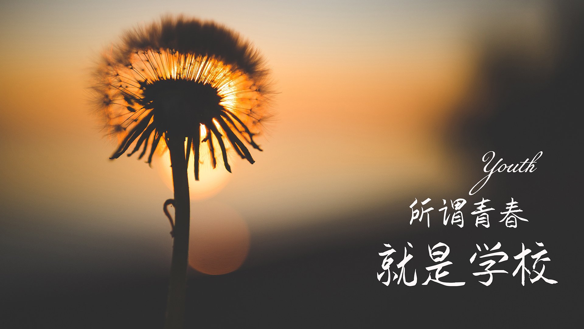 _无人机竞技比赛:空中飞行的科技盛事_,无人机竞赛项目