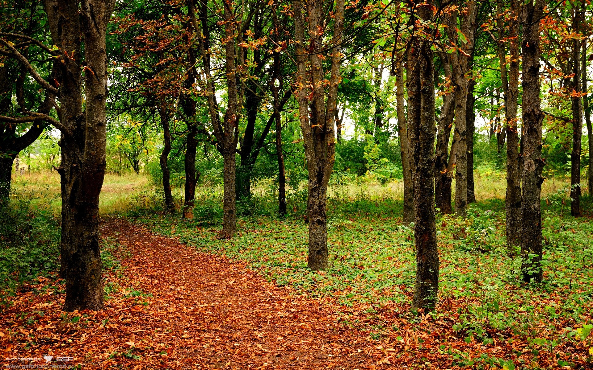 “德甲战火不断升级，第二名紧追不舍”，德甲晋级