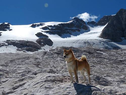 爱游戏下载-东契奇发起“每得一分捐一餐”公益计划，东契奇得分今天