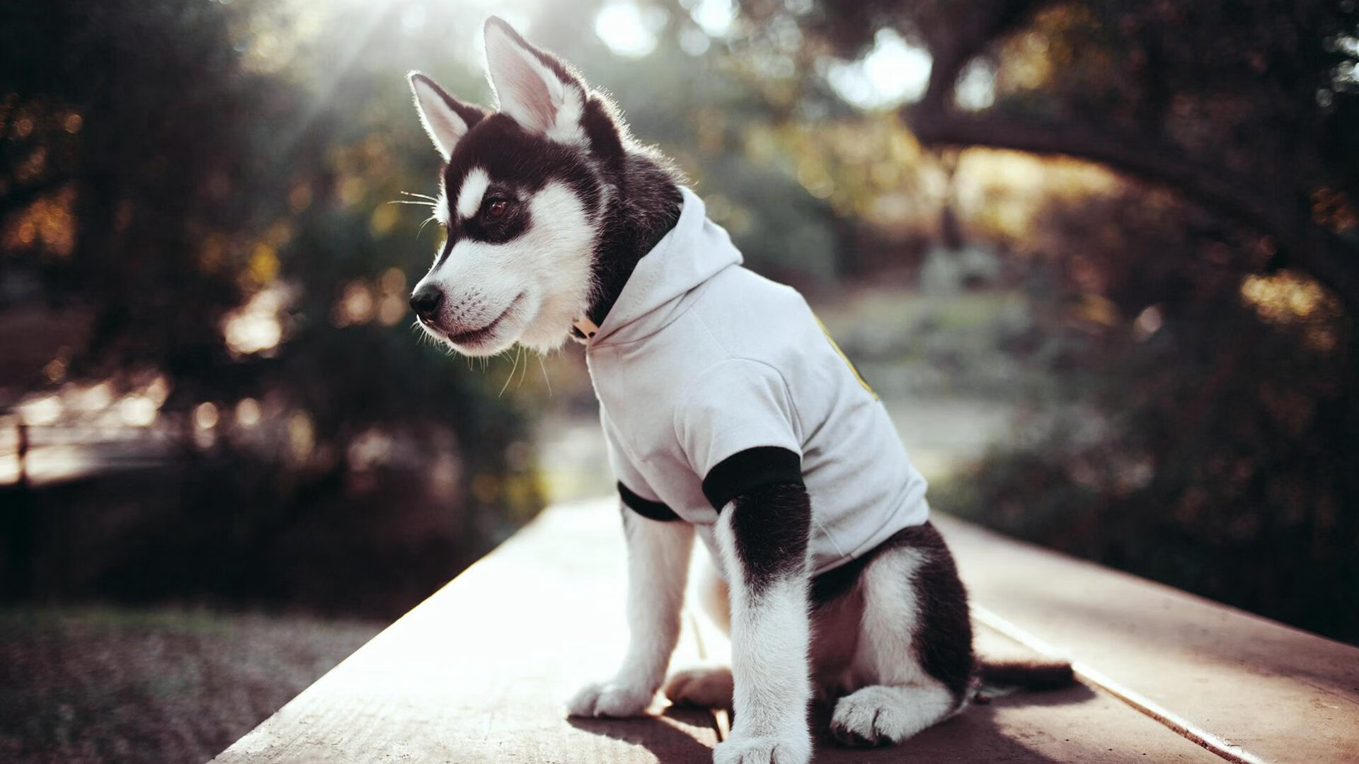 乡村特色陶艺运动会，文化与运动共存，陶艺活动