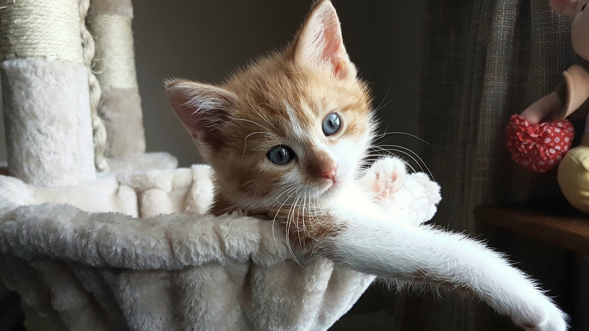 AYX GAME-传奇“黄金一代”再续辉煌：欧冠征战至今的故事，欧冠经典之战